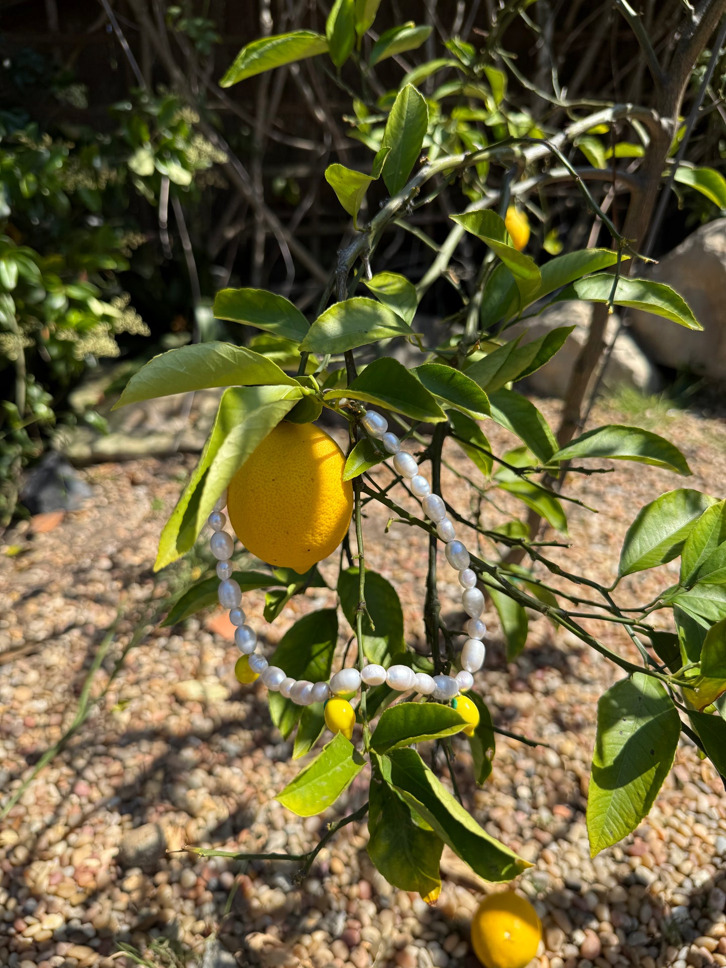 Lemons Pearls